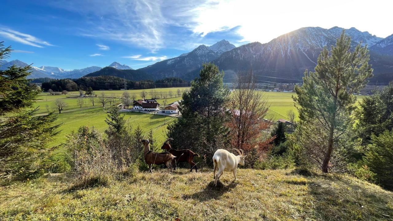 Gutshof Zum Schluxen Pinswang Exterior foto