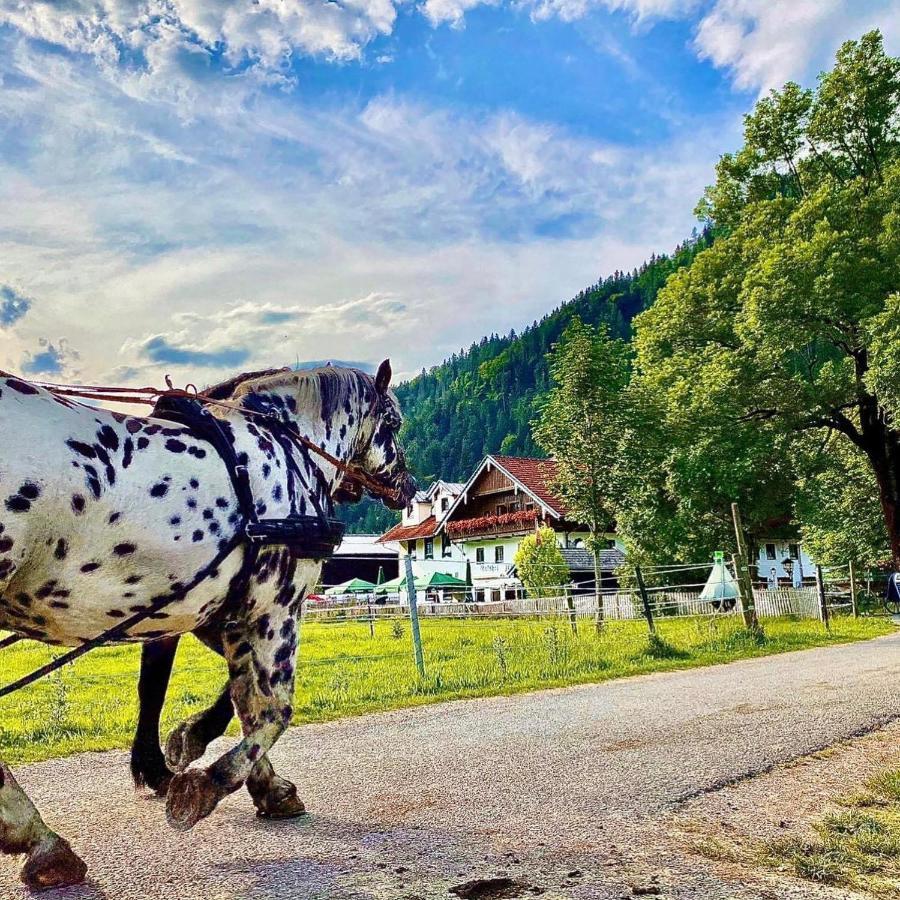 Gutshof Zum Schluxen Pinswang Exterior foto