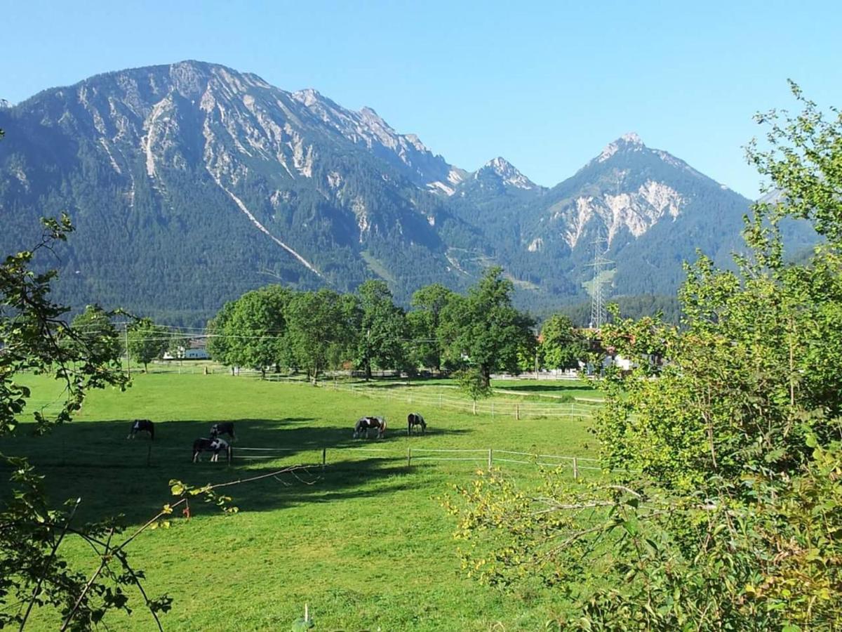 Gutshof Zum Schluxen Pinswang Exterior foto